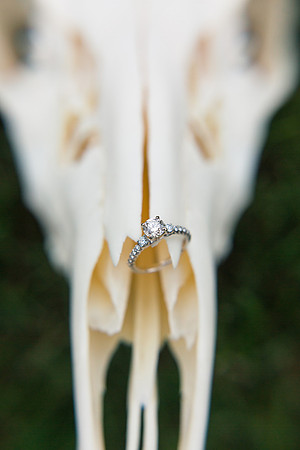 Korbyn and Charles | Engaged Nov2017-58